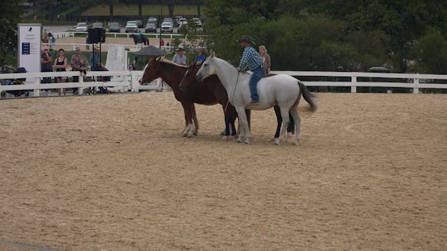 Ridden Liberty Demo with Five Horses ...