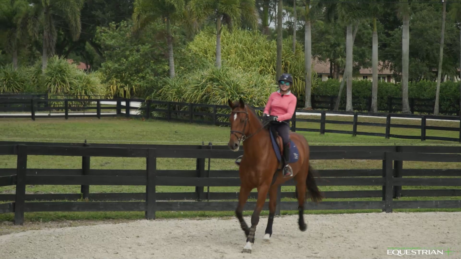Margie Engle’s Program - Flatwork and Gymnastics for Jumpers | PART 02