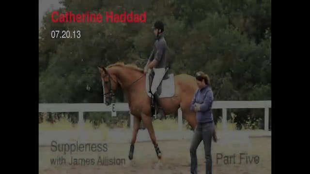 Suppleness | Catherine Haddad | PART 05