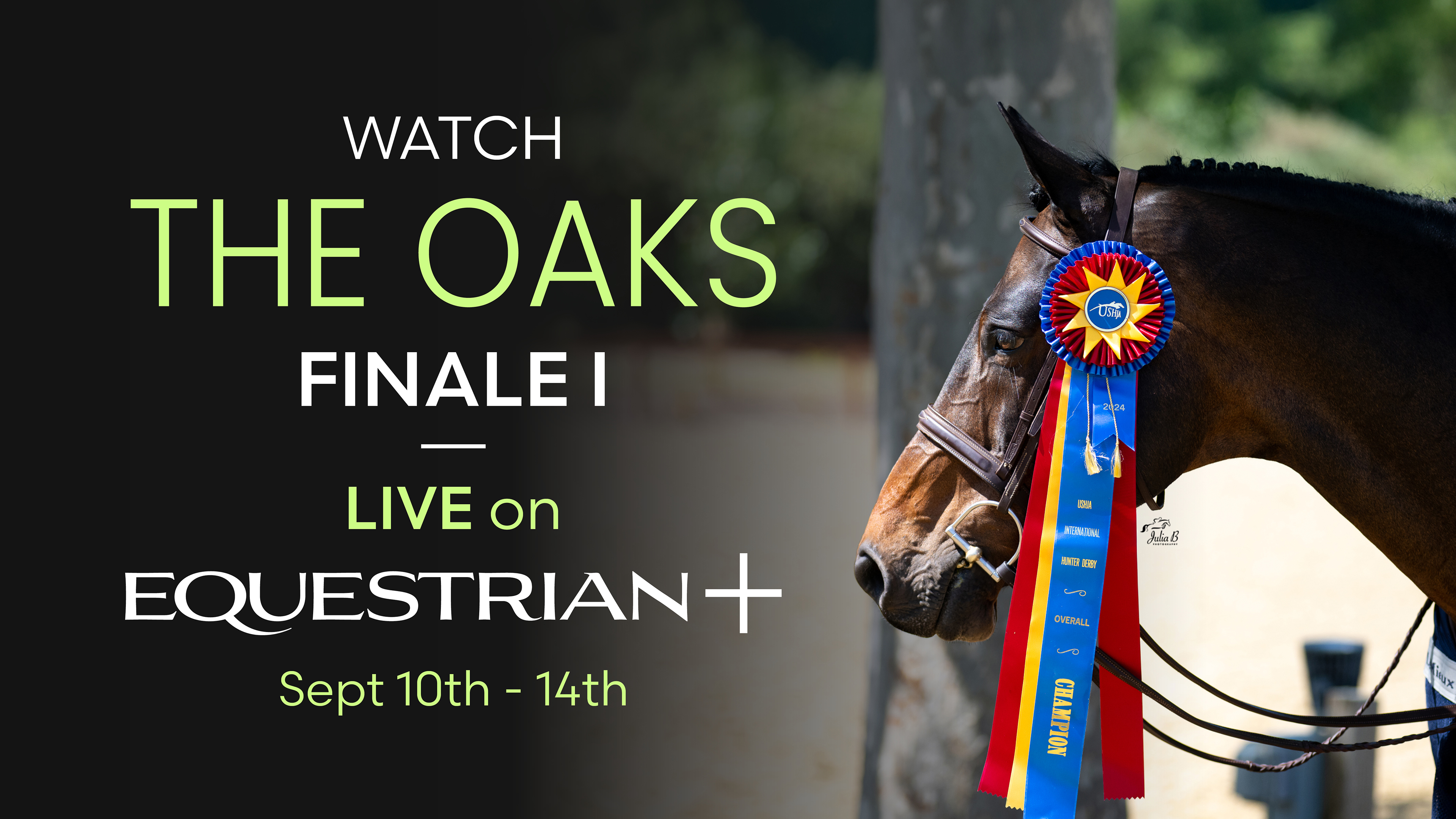 The Oaks | Hunter 1 | Finale I - 09/1...