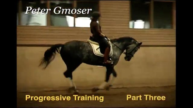 Progressive Training | Peter Gmoser |...
