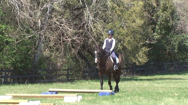 Controlling the Horse's Feet | Buck D...