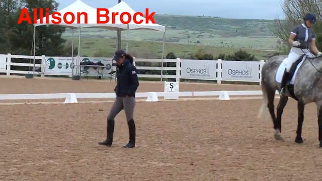 Hunter Ring to Dressage Ring | Alliso...