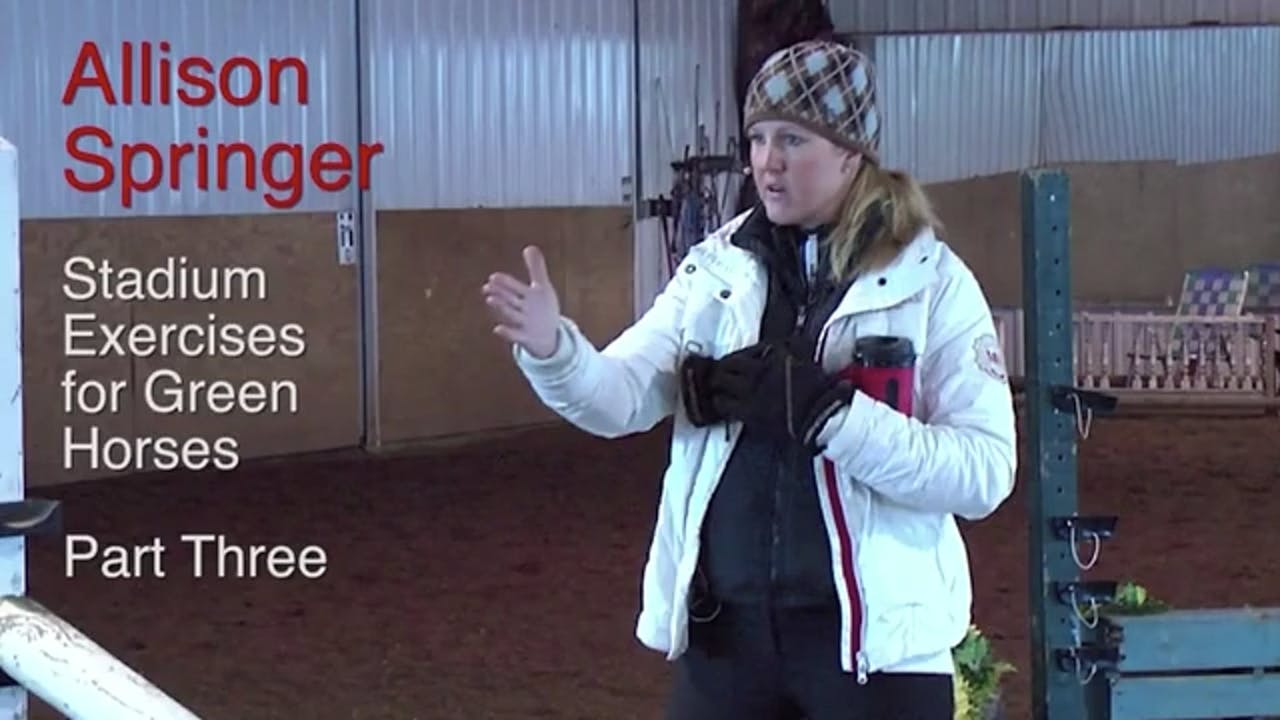 Stadium Exercises For Green Horses Part 3 Equestrian+