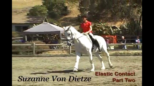 Training Basics, Elastic Contact | Su...