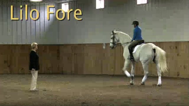 1/2014, FarmVet/USDF Complete Adult C...