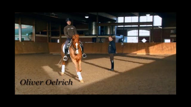 The Young Horse basic training with O...