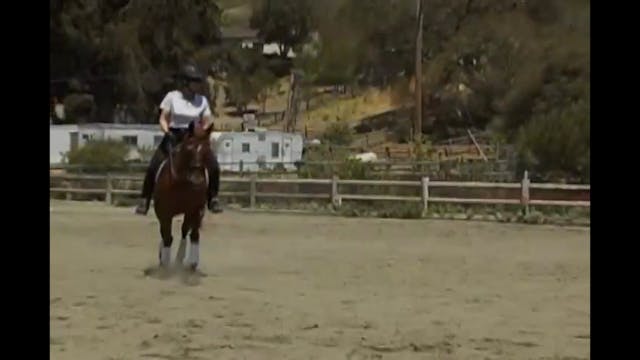 Rider Position - Balance | Susanne vo...