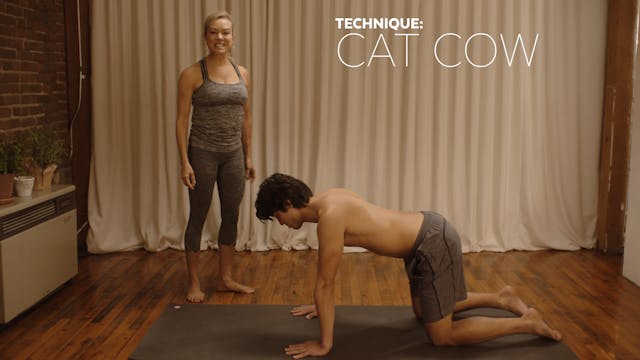 Technique: Cat Cow (aka Table Top)