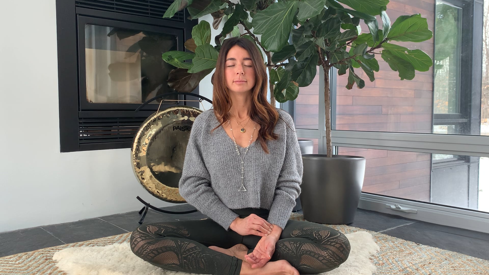 Learning to Meditate