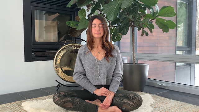Learning to Meditate