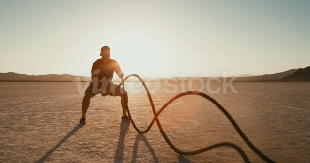 Day 7