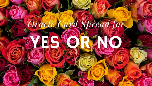 Yes or No