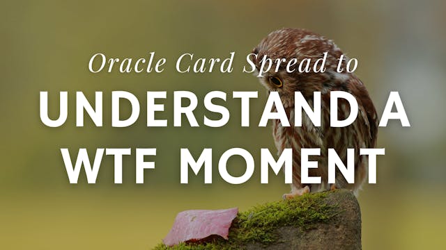 Understand a WTF Moment