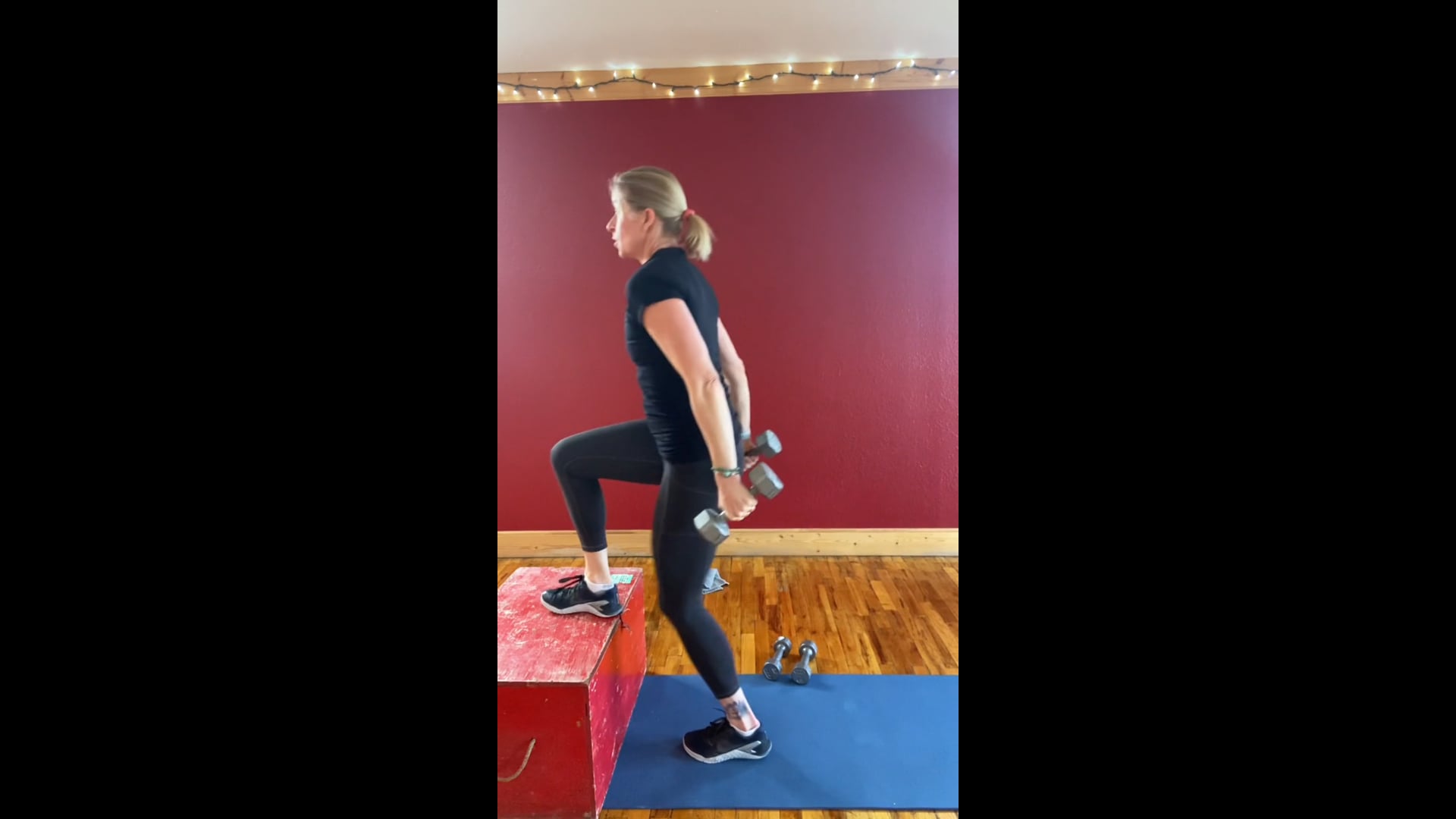 BodyForge full body with a bench & weights 