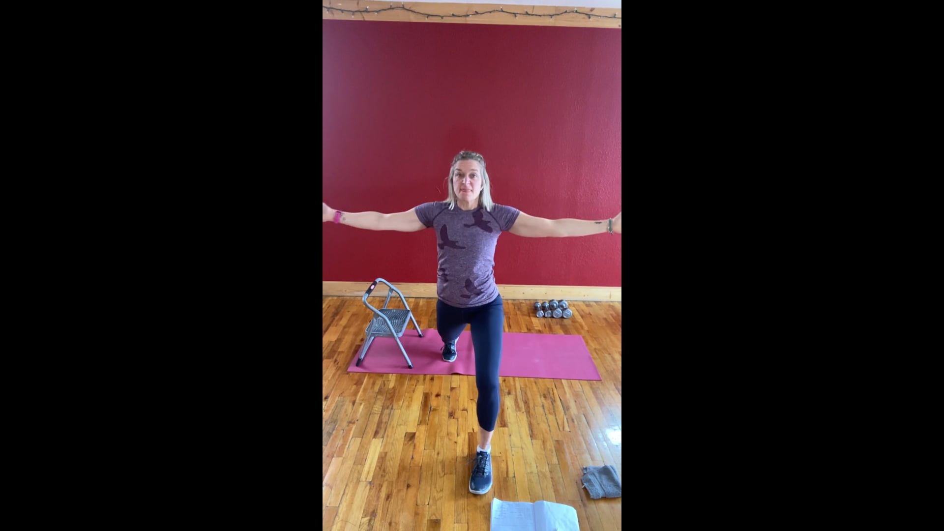 BodyForge 6 - dumbbells & a bench/step