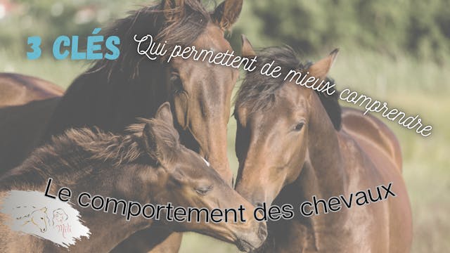 3 clés qui permettent de mieux comprendre les comportements des chevaux