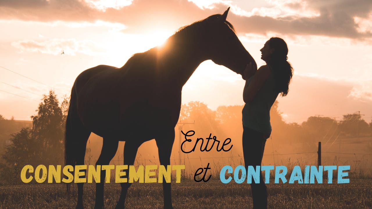 Entre consentement et contrainte