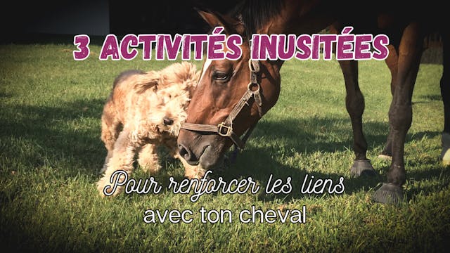 Renforcer les liens avec son cheval