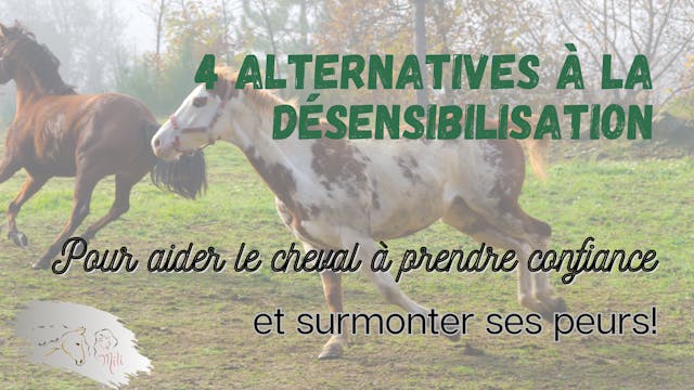 4 alternative à la désensibilisation