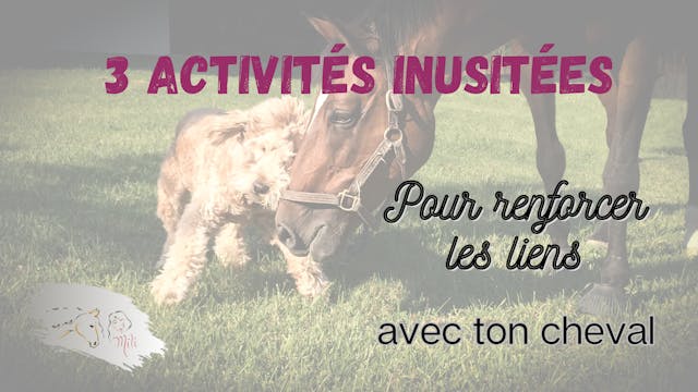 3 activités inutitées pour renforcer les liens avec ton cheval