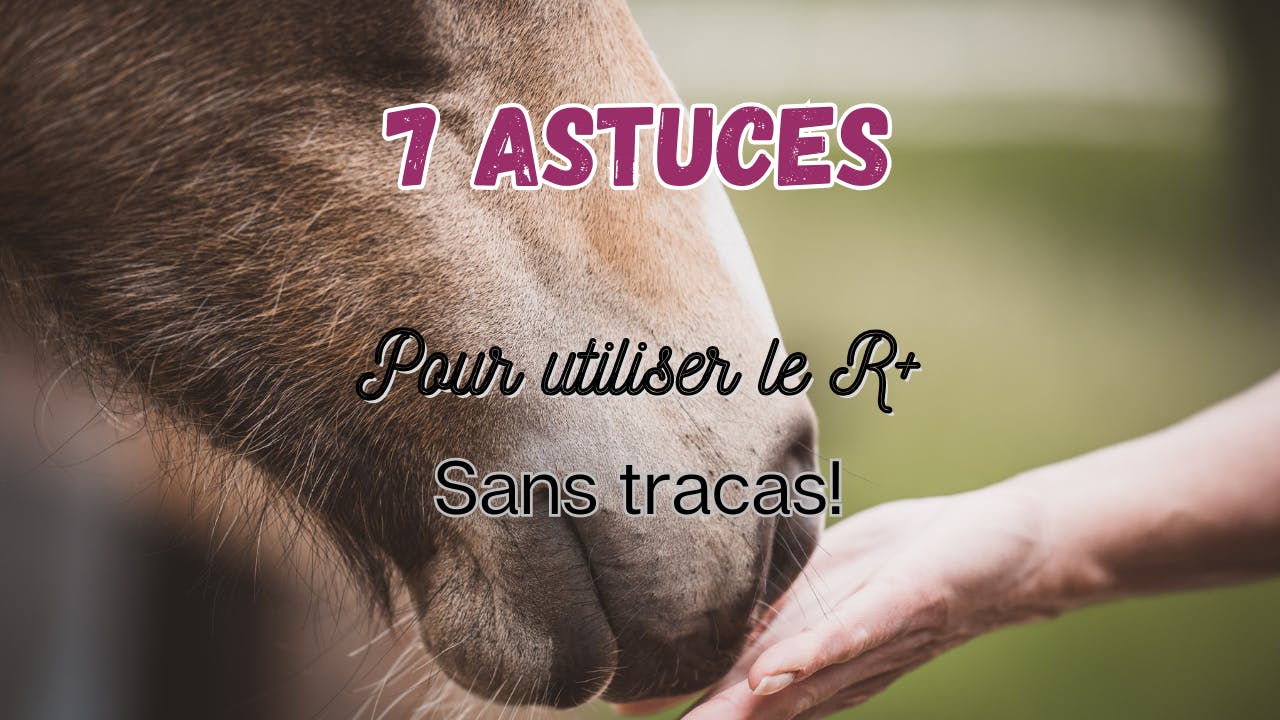 Utiliser le R+ sans tracas