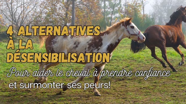 Alternatives à la désensibilisation