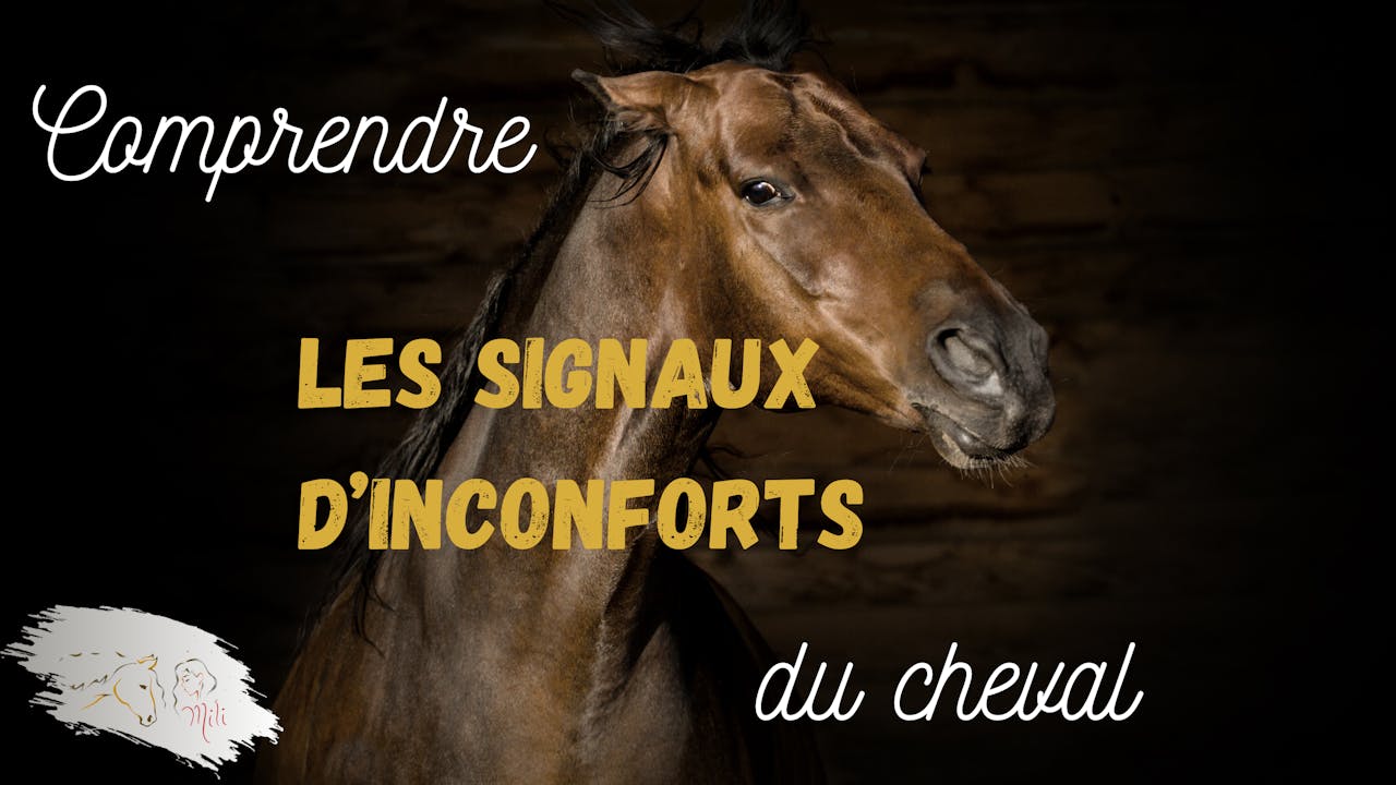 Comprendre les signaux d'inconfort du cheval