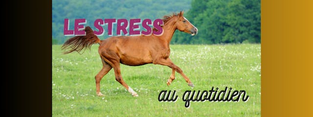 Le stress au quotidien