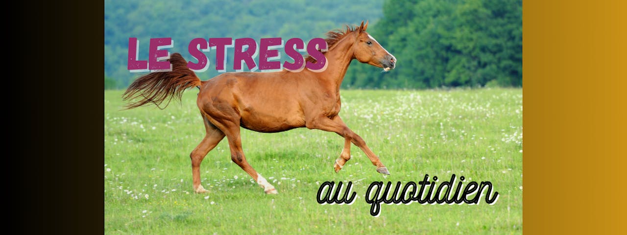 Le stress au quotidien