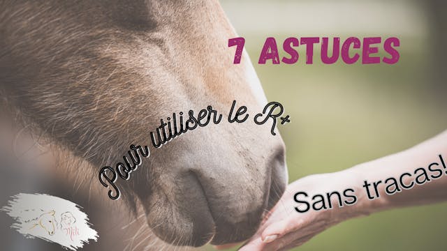 7 astuces pour utiliser le R+ sans tracas