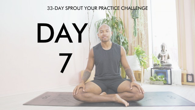 Day 7 Sprout Your Practice: Yoga Nidra