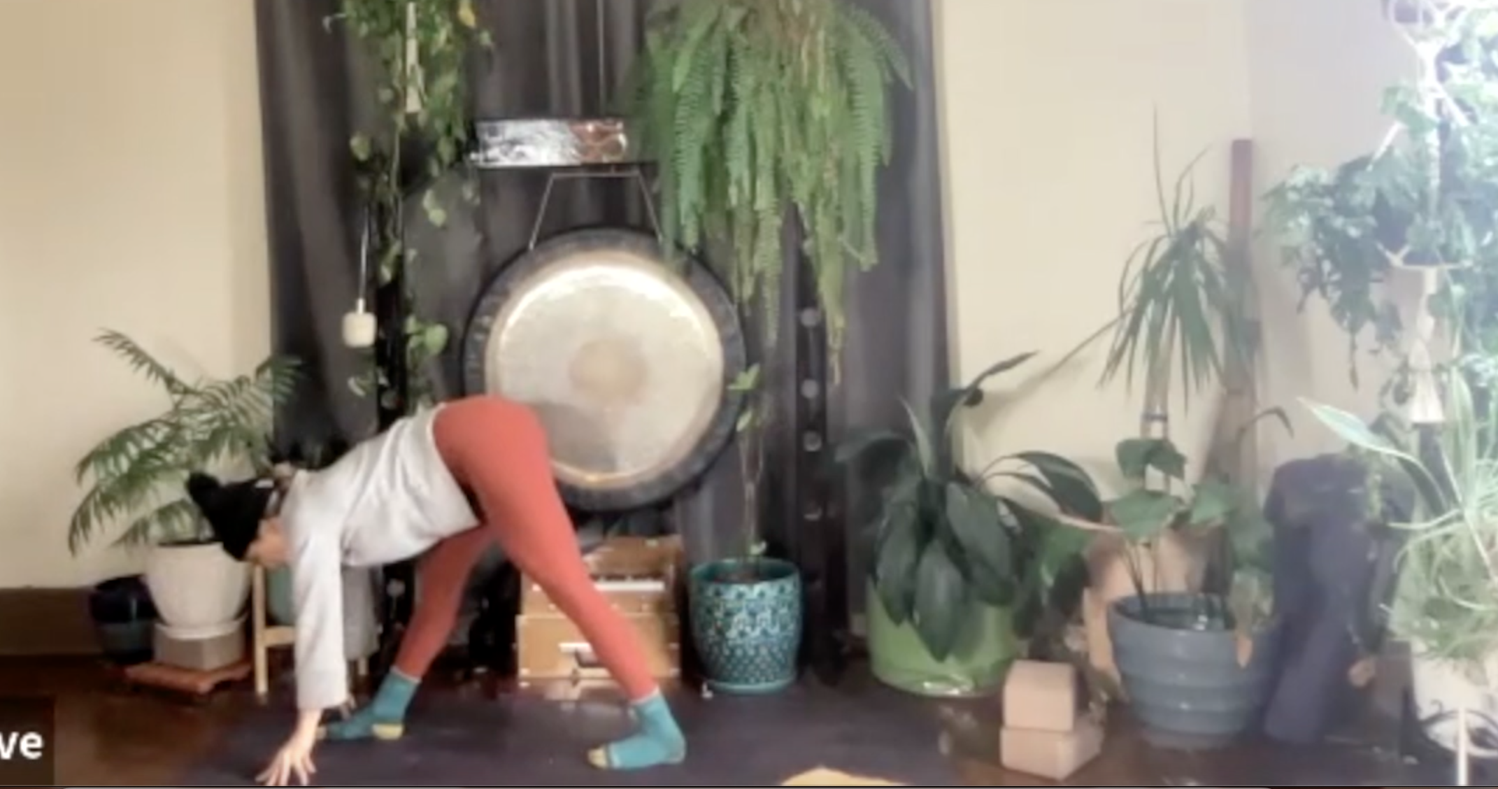 Harmony: Bhakti Vinyasa with Christine Anderson (LIVE RECORDING)