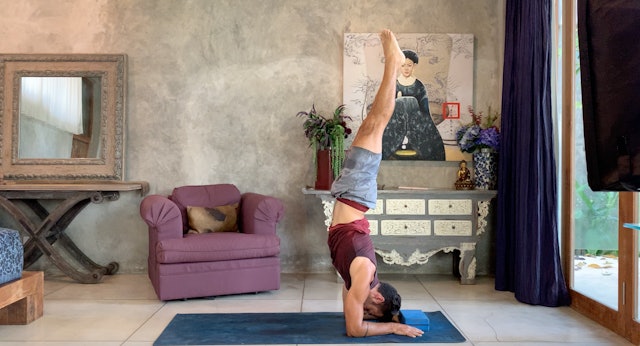Flow into Forearm Stand: Power Vinyasa with Paul Teodo