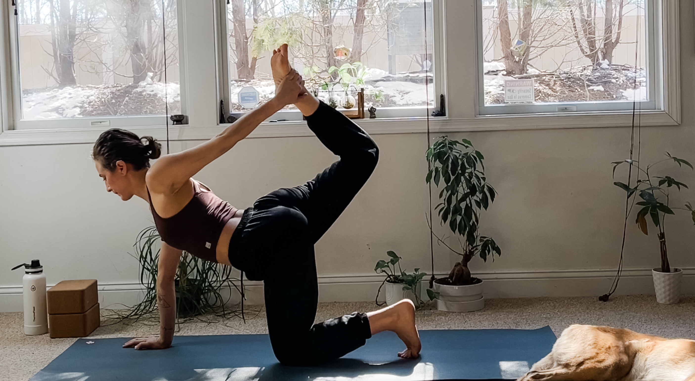 Glutes and Hamstrings Flow: Total Body Vinyasa Series with Kim Koa