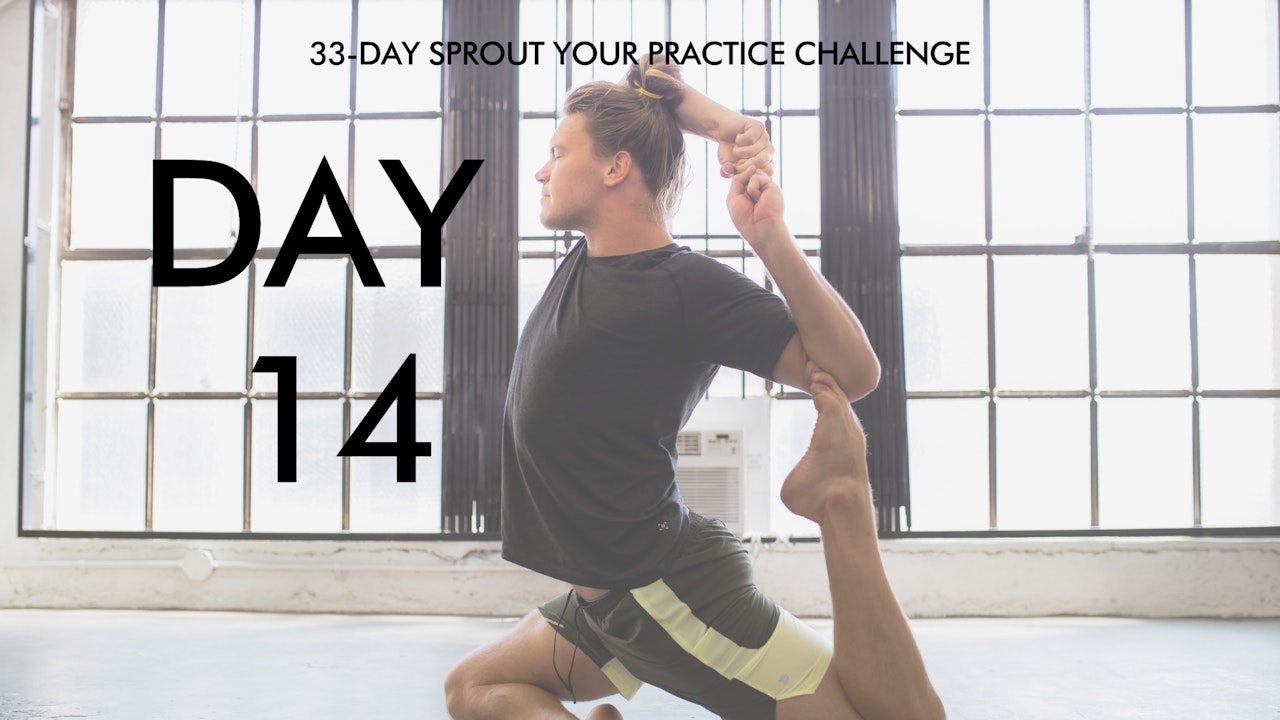 Day 14 Sprout Your Practice: I am Focused Mantra Vinyasa