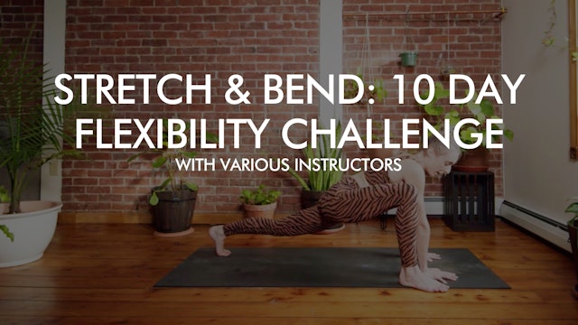 Stretch and Bend: 10 Day Flexibility Challenge