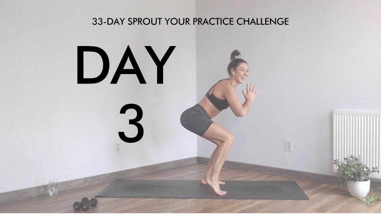 Day 3 Sprout Your Practice: Beginner YogaSculpt