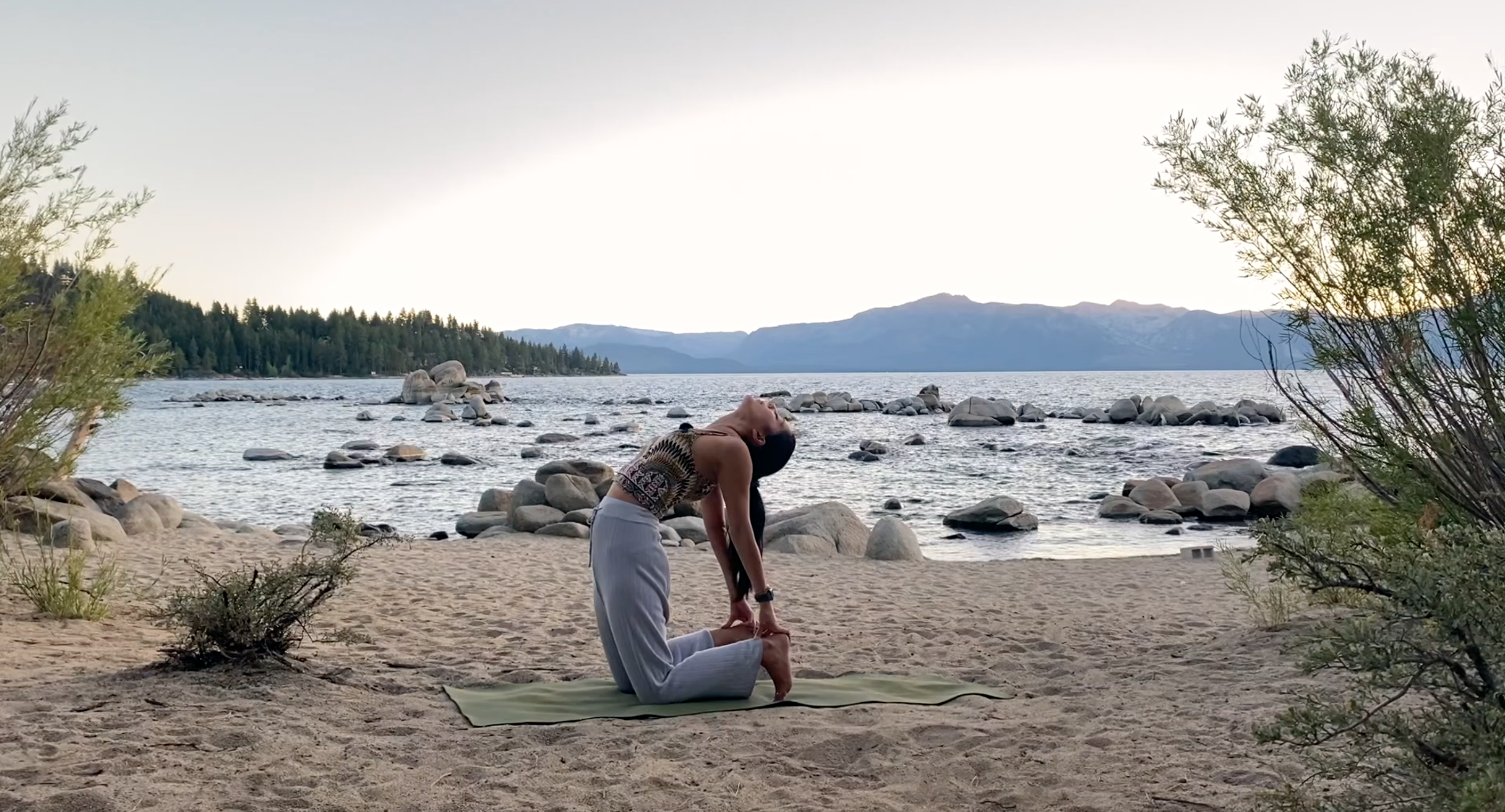 Heart Openers: Nature Vinyasa Series with Allison Waldbeser 