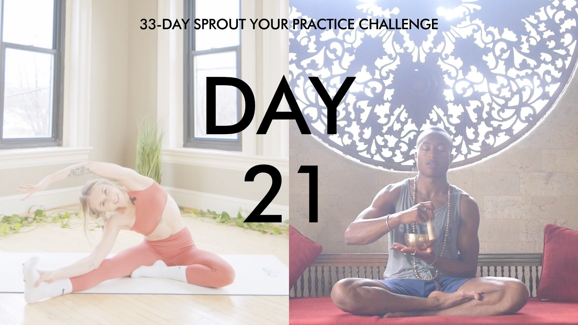 Day 21 Sprout Your Practice: Unwind and Release + Crown Chakra Meditation