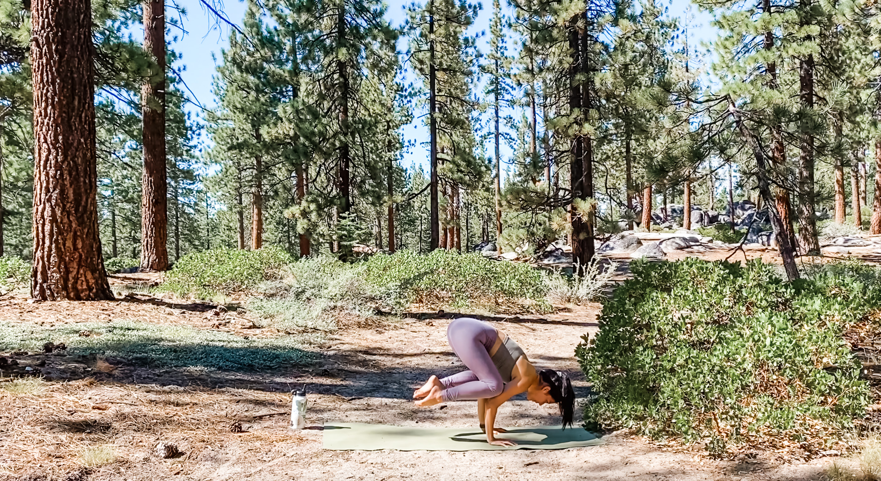 Power To Fly - Crow: Nature Vinyasa Series with Allison Waldbeser