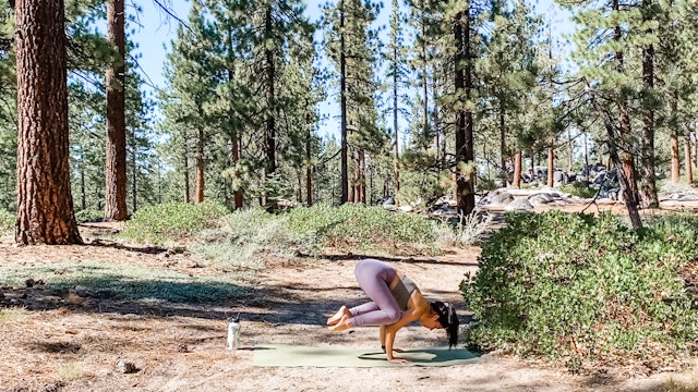 Power To Fly - Crow: Nature Vinyasa Series with Allison Waldbeser