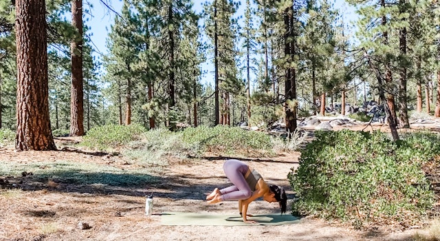 Power To Fly - Crow: Nature Vinyasa Series with Allison Waldbeser
