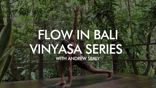 Flow in Bali Vinyasa Series with Andrew Sealy