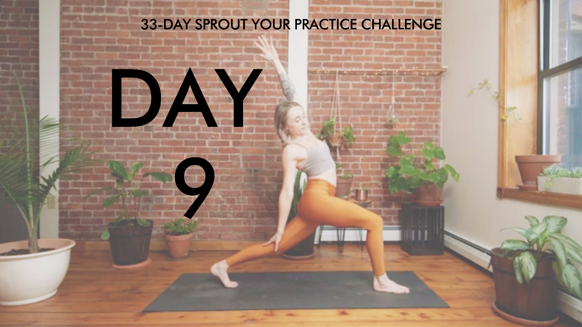 Day 9 Sprout Your Practice: Feel Good Flow