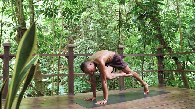 Two Hands One Core: Vinyasa with Andr...