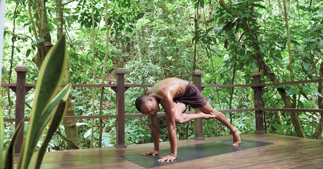 Two Hands One Core: Vinyasa with Andrew Sealy
