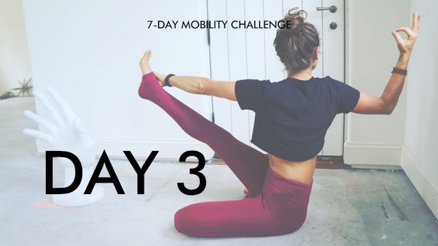 Day 3: Shoulder, Back and Core Mobility