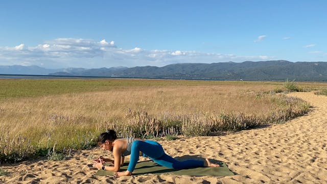 Hips and Quads: Nature Vinyasa Series...