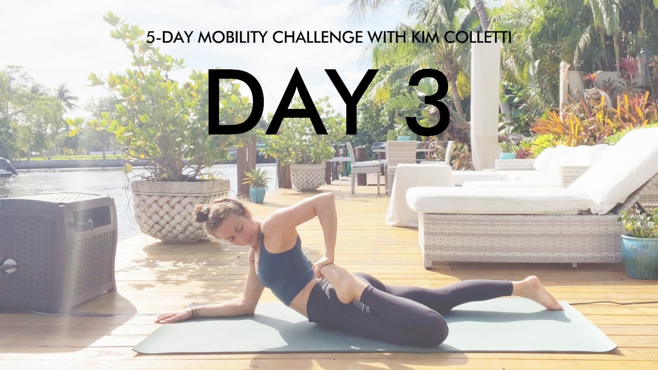 Day 3 Mobility Challenge